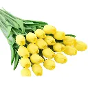 Fleurs Moyennes -7.webp
