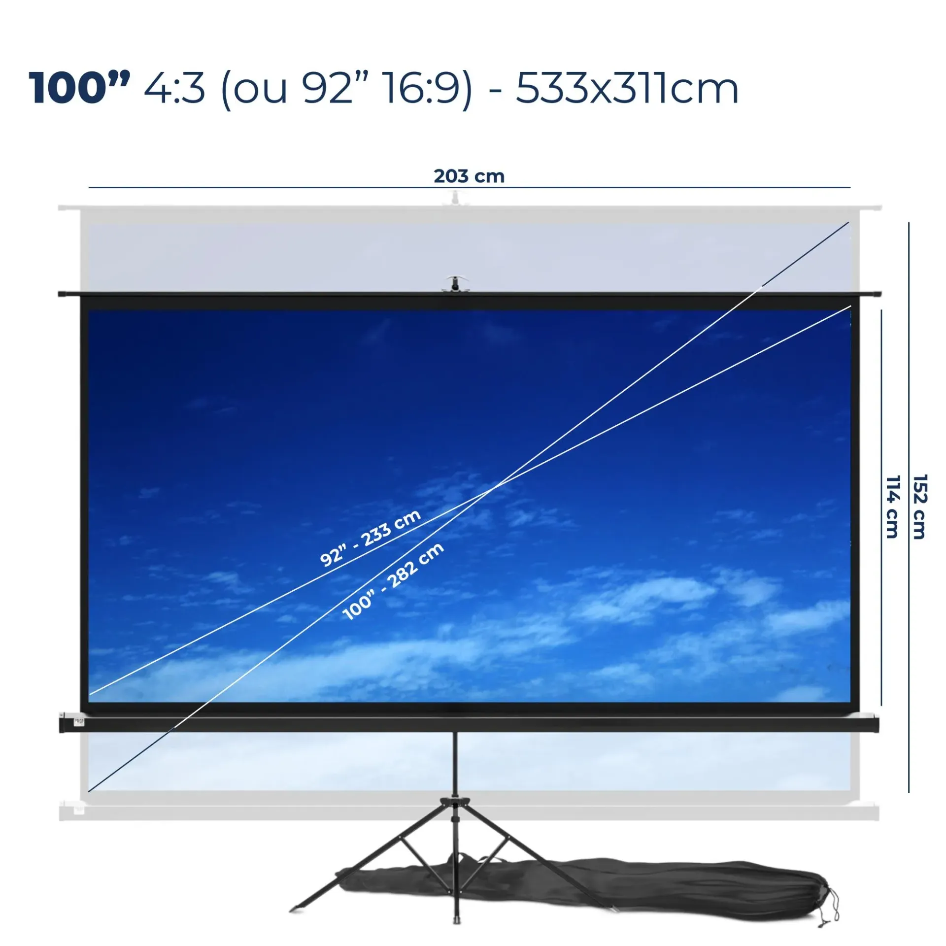 Ecran 100" 16:9 (221x124)